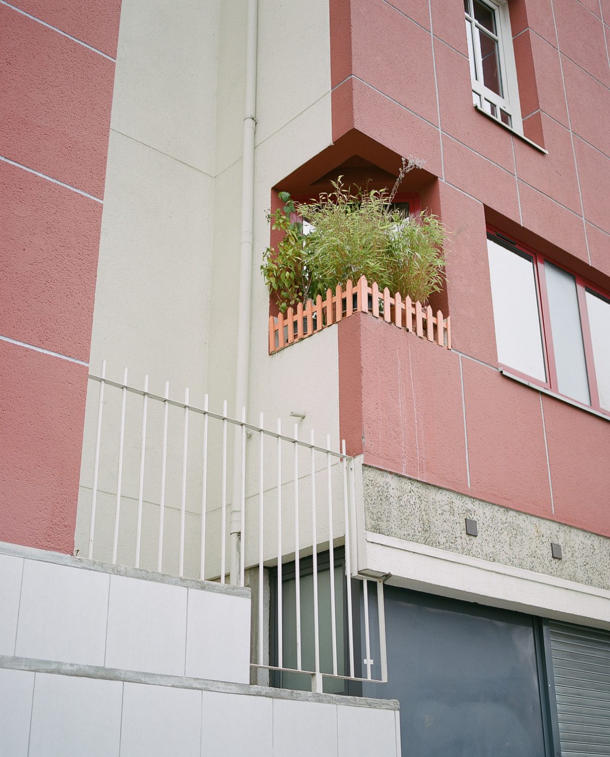Fisheye Magazine | Les coups de cœur #127