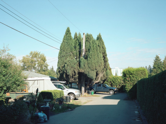 Fisheye Magazine | Les coups de cœur #129