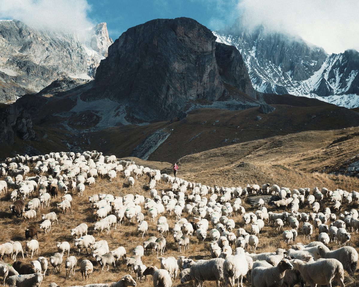 © Nadège Abadie / Signatures