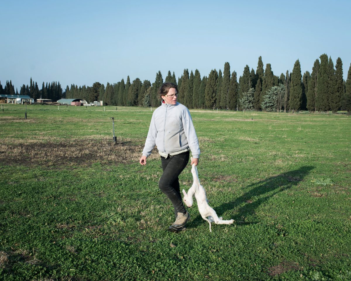 Le choix à Bérengère-Abadie