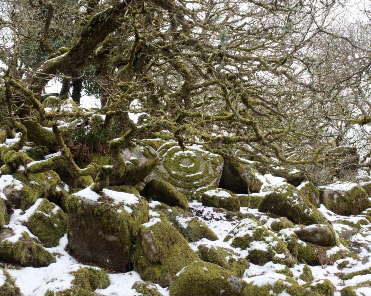 Fisheye Magazine | Extrait de "The Moor" / © Robert Darch