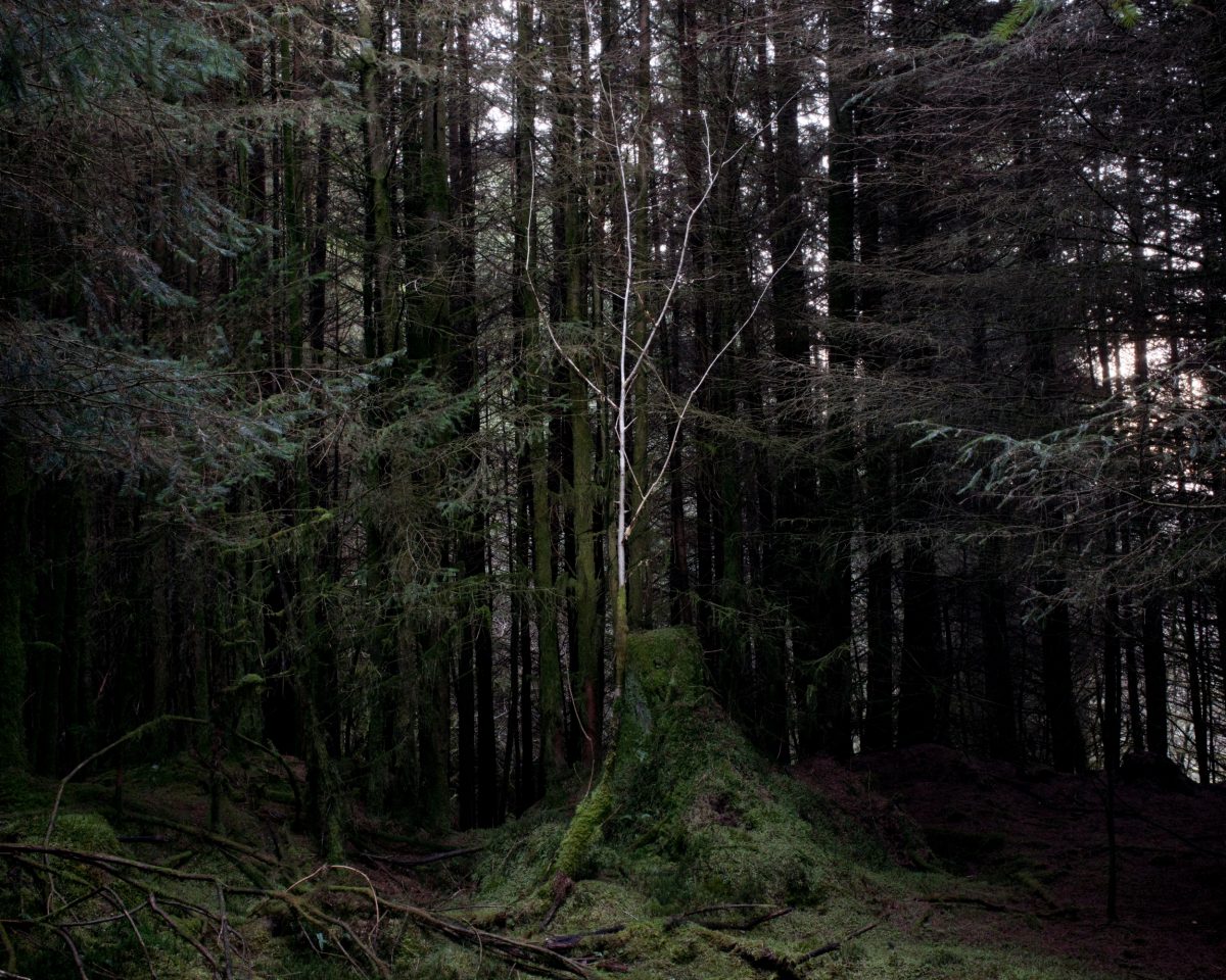 Fisheye Magazine | Extrait de "The Moor" / © Robert Darch
