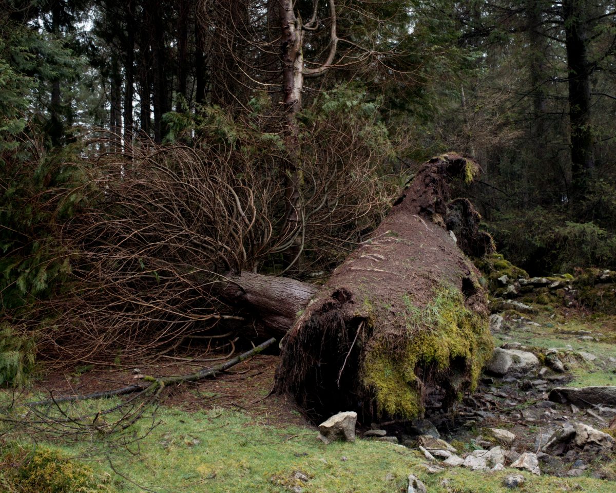Fisheye Magazine | Extrait de "The Moor" / © Robert Darch