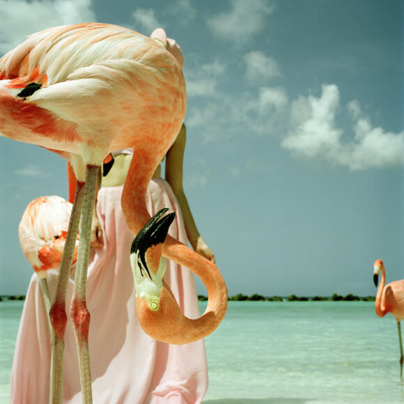 Fisheye Magazine | Sois belle