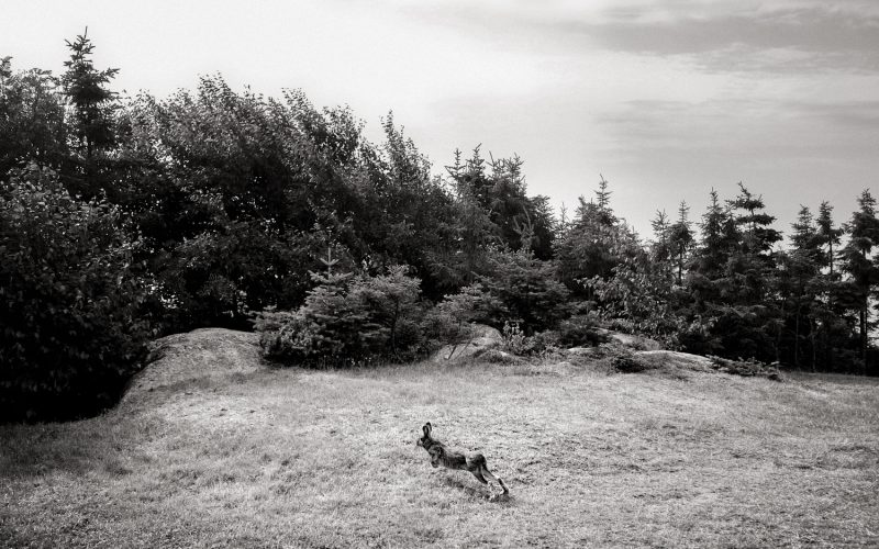 Fisheye Magazine | Ailleurs sur la route