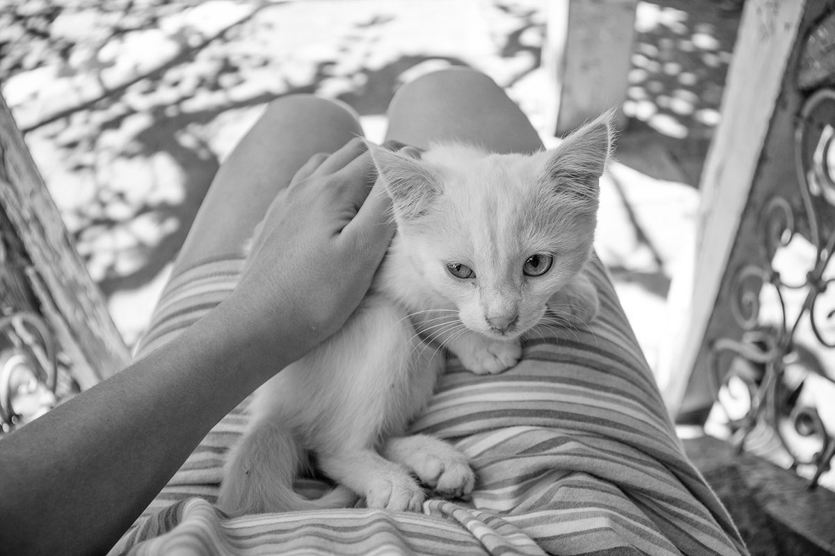 © Sheyda Allahverdiyeva