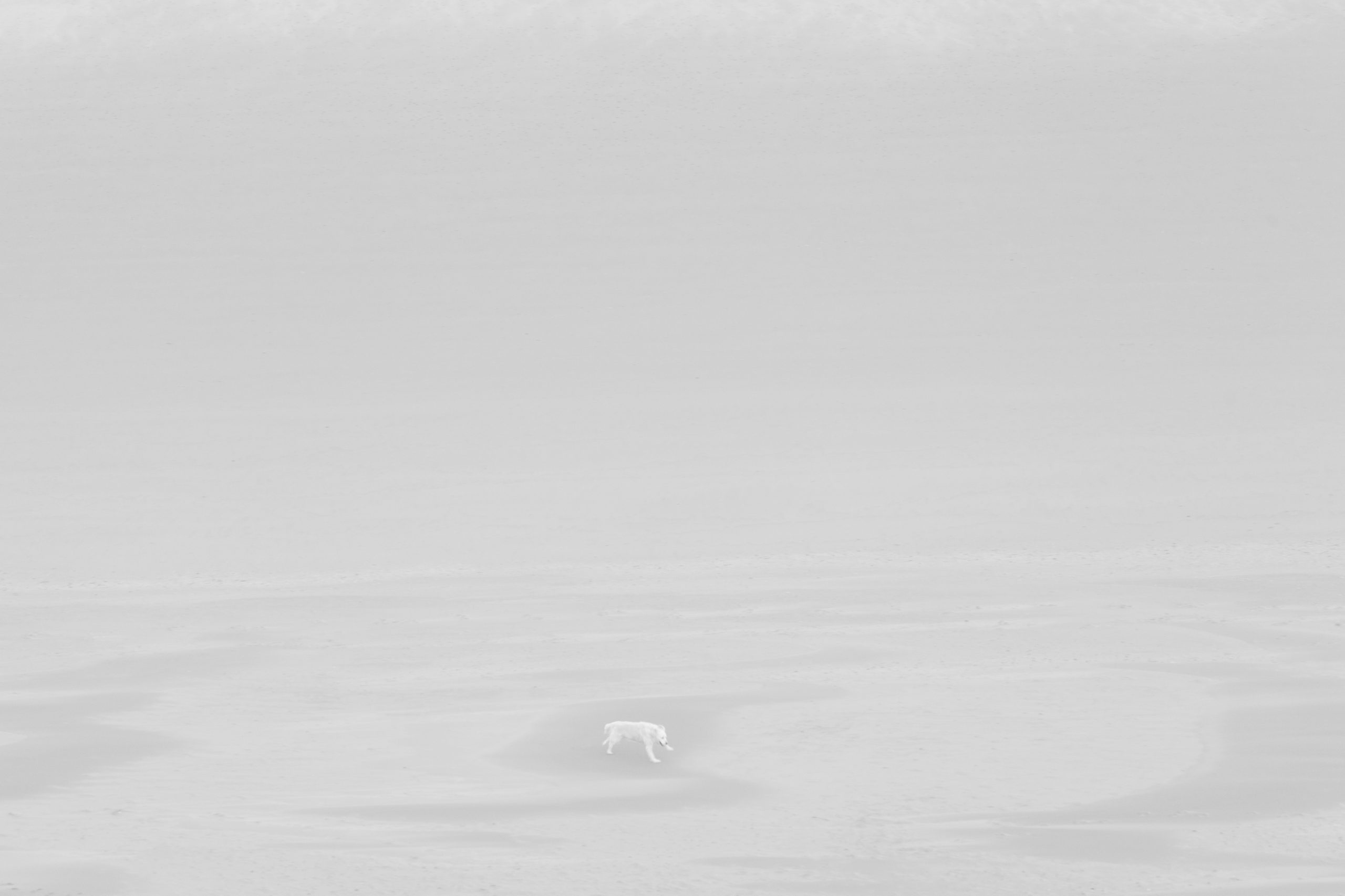 Quatrième prix, © Gérard Staron 
