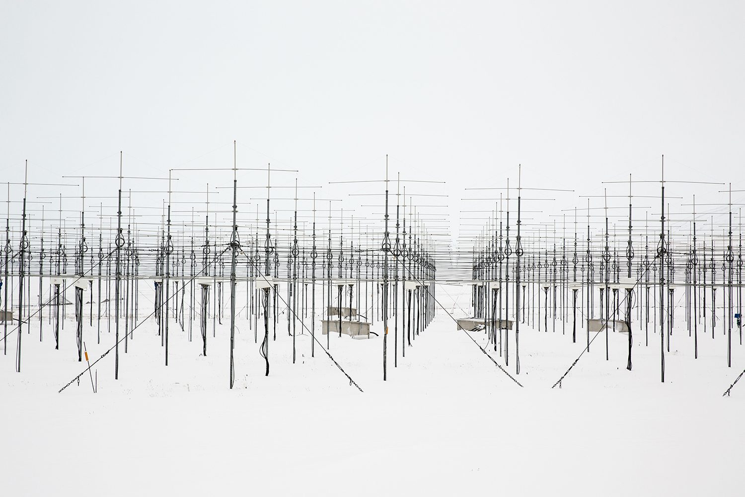 Deuxième prix, © Anna FIlipova 