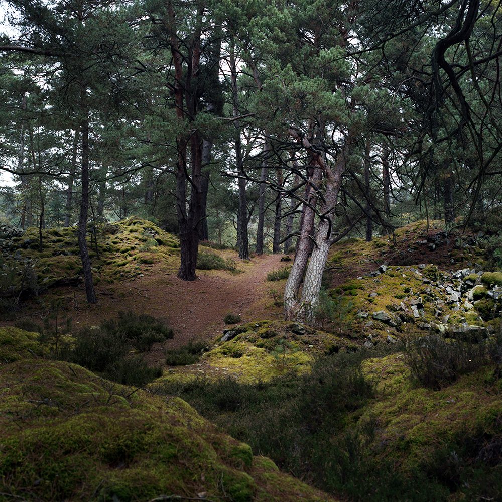 1ER PRIX: © Alexandra Serrano