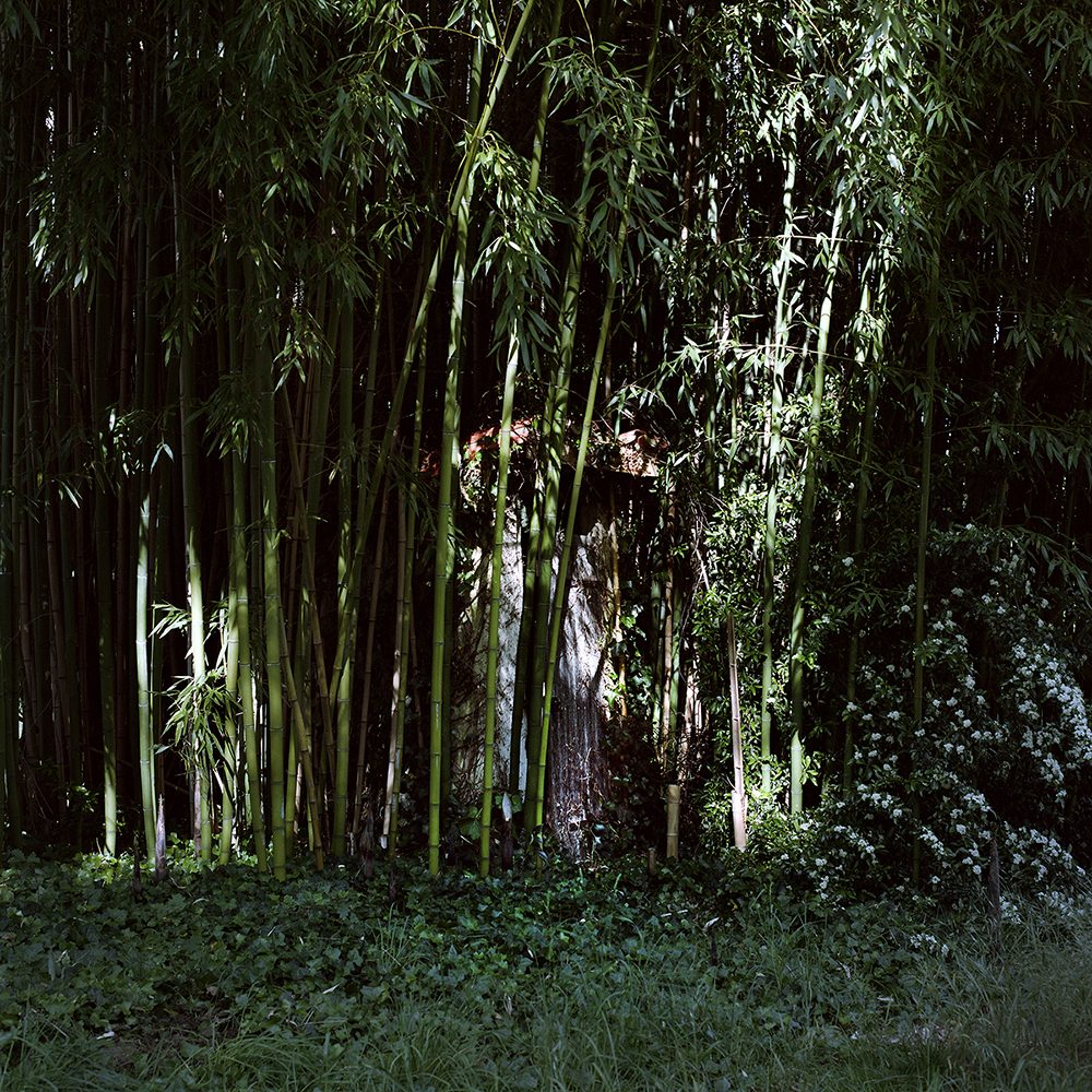1ER PRIX: © Alexandra Serrano