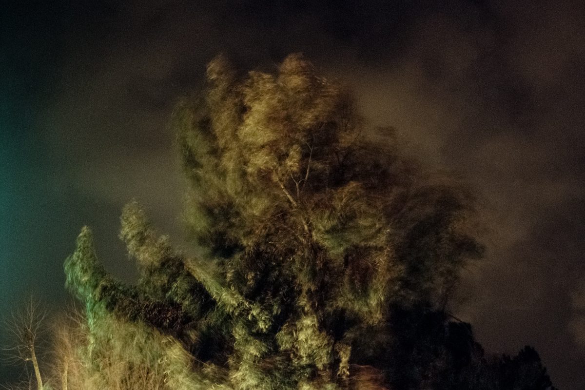 Cinquième prix, © Enrico Di Nardo 