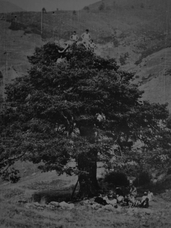 From "Radici" © Fabrizio Albertini