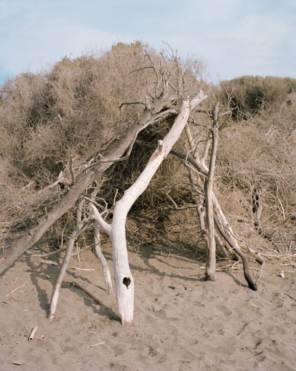 From "Radici" © Fabrizio Albertini