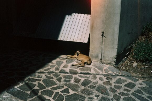 Fish Eye Magazine | Les coups de cœur #136
