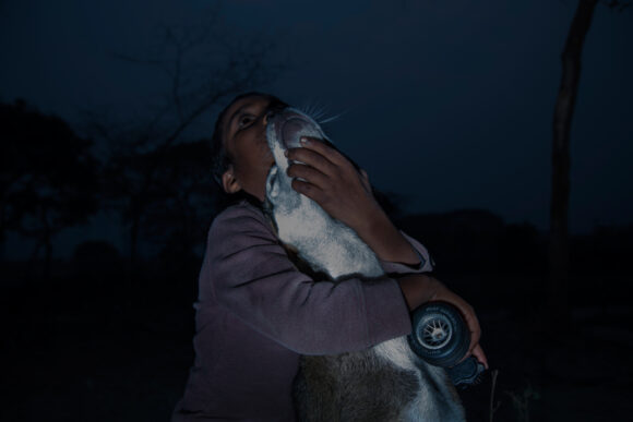 AnupamDiwan_Fireflies_06