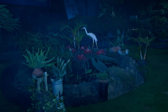 AnupamDiwan_Fireflies_13