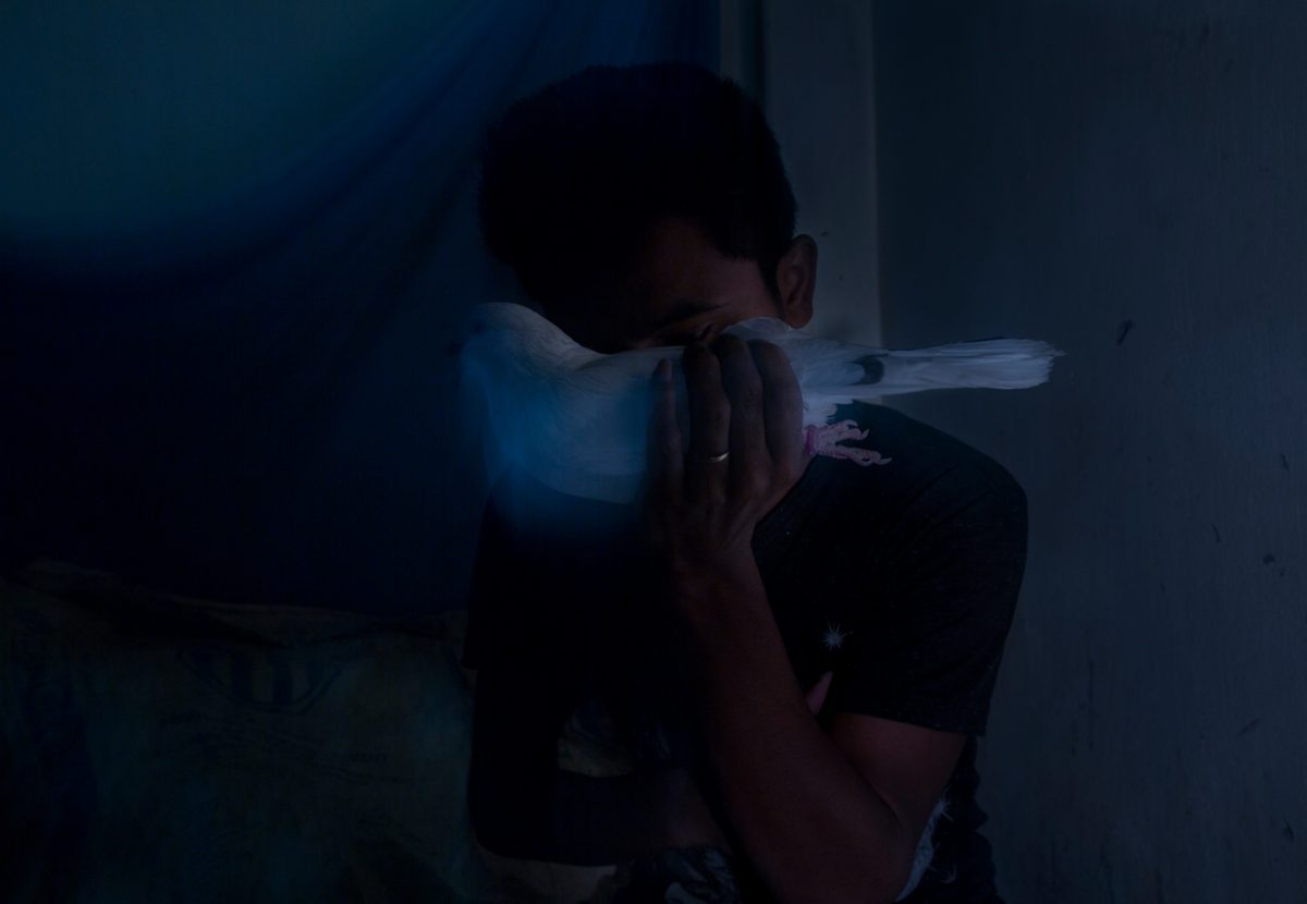 AnupamDiwan_Fireflies_14