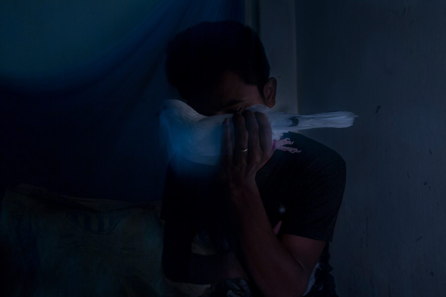 AnupamDiwan_Fireflies_14