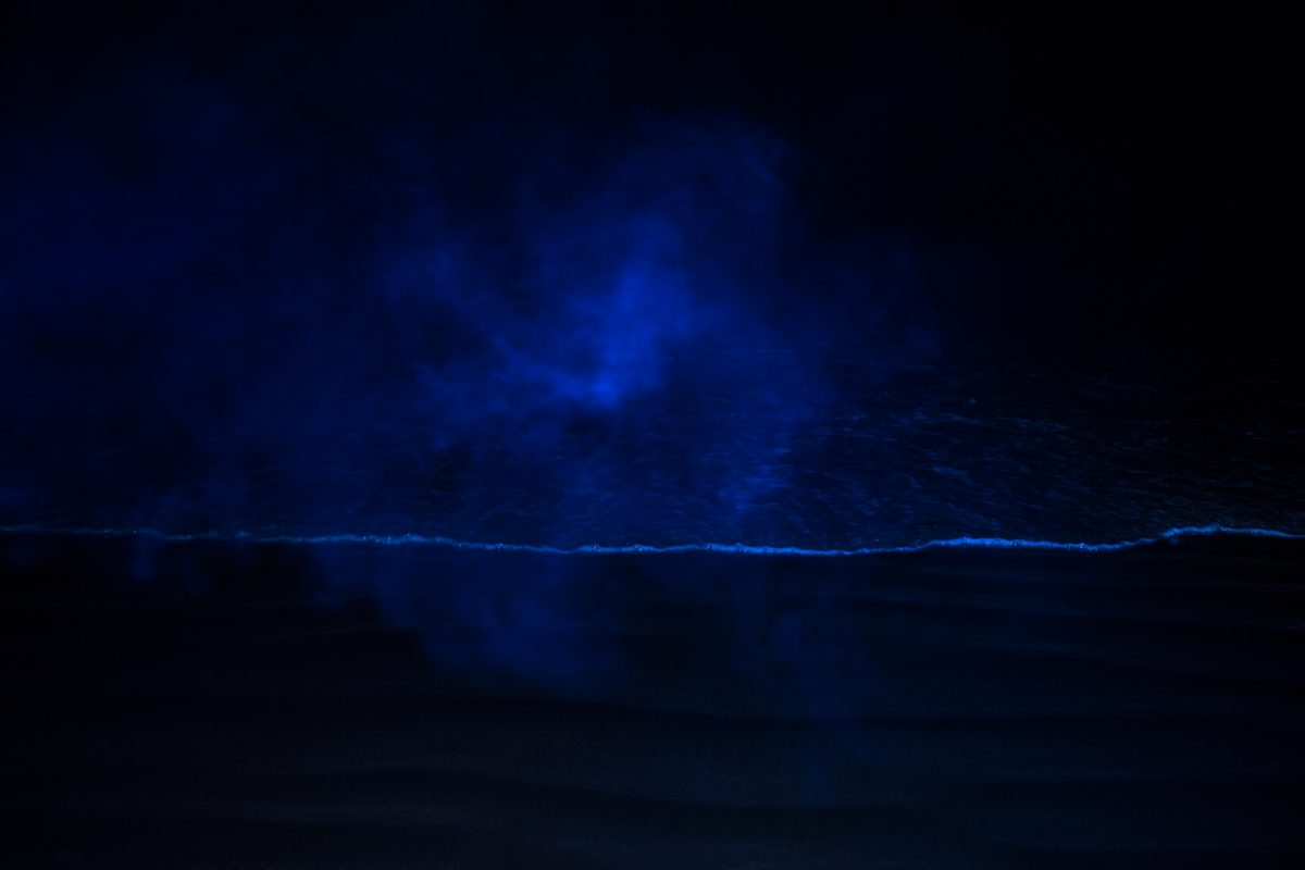 AnupamDiwan_Fireflies_15