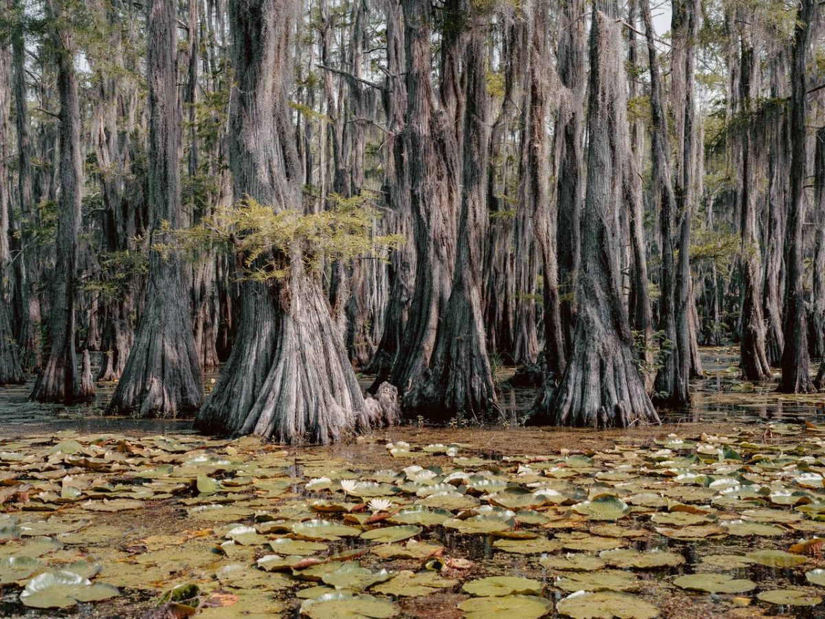 © Cody Cobb