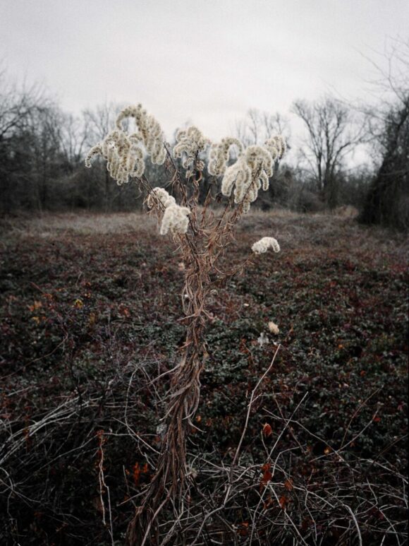 © Cody Cobb