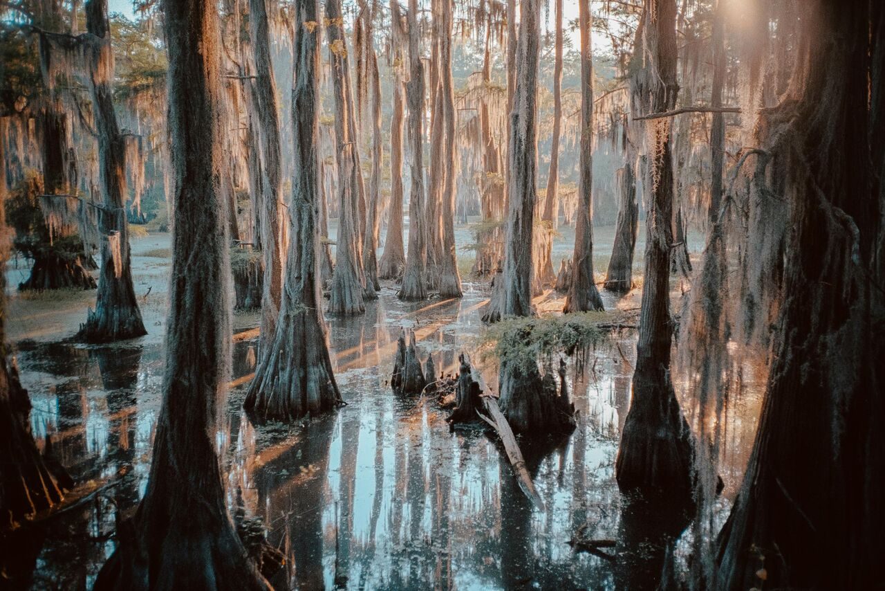 © Cody Cobb
