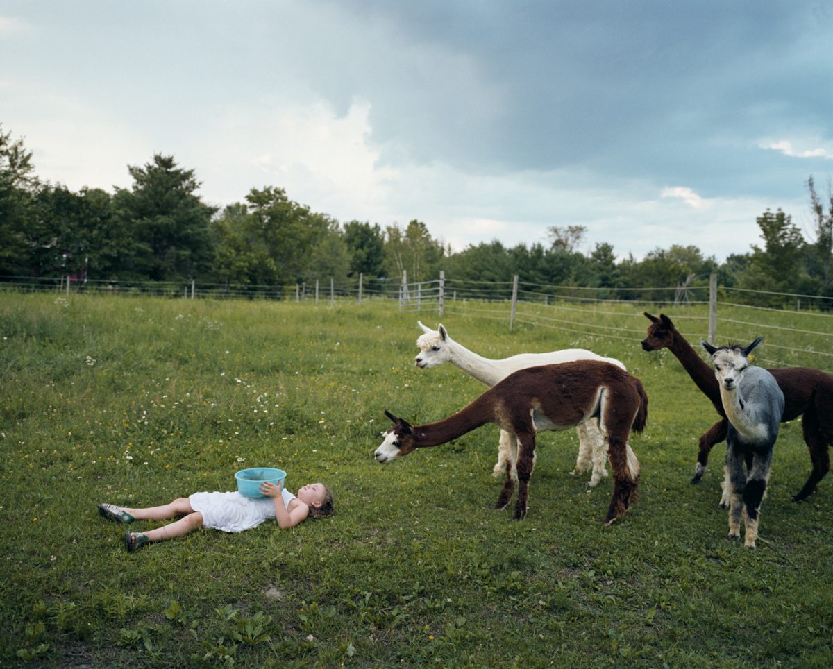 © Robin Schwartz 