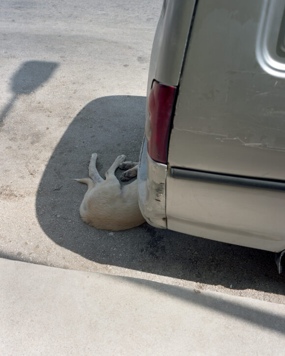 © James Parker