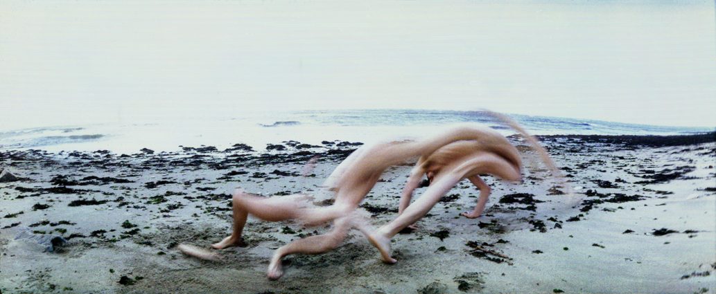 © Frédéric Fontenoy