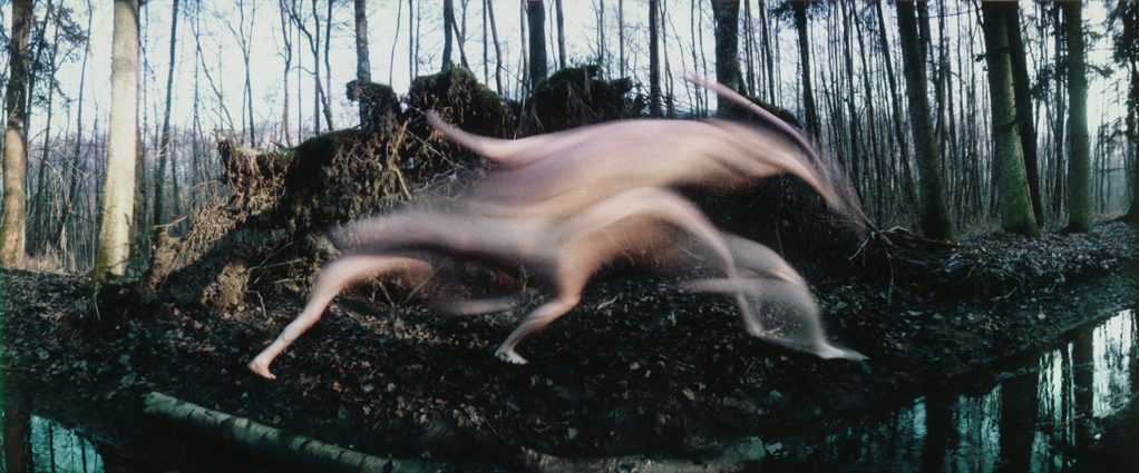 © Frédéric Fontenoy