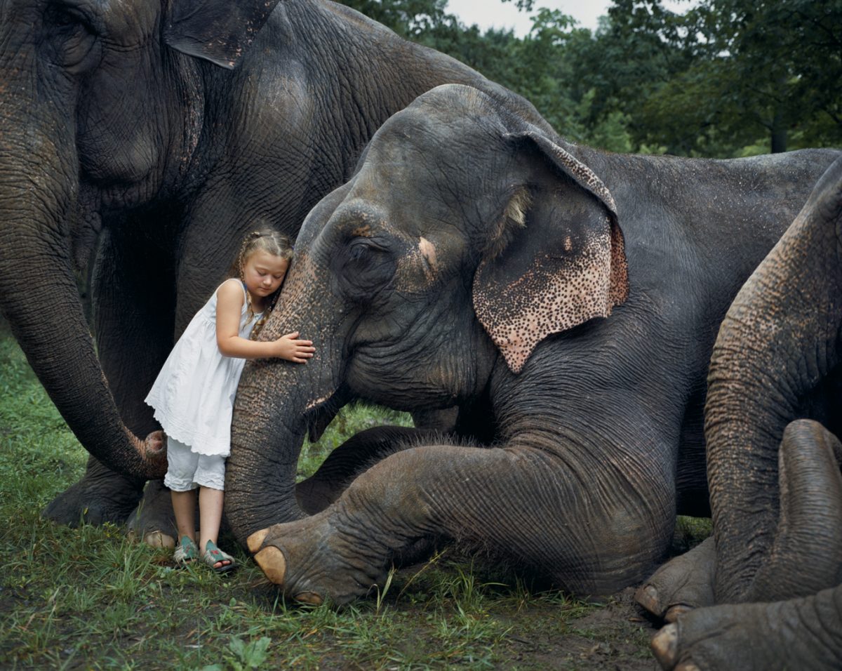 © Robin Schwartz