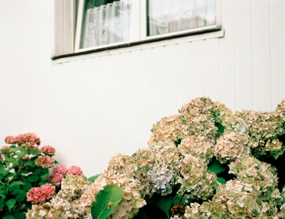 © Dorothée Nowak