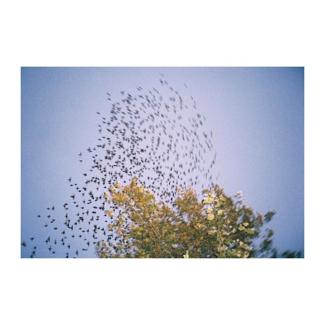 © Ella Rose Shnapp / Instagram