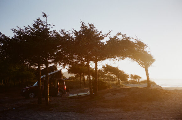 © Jarod Luebbert