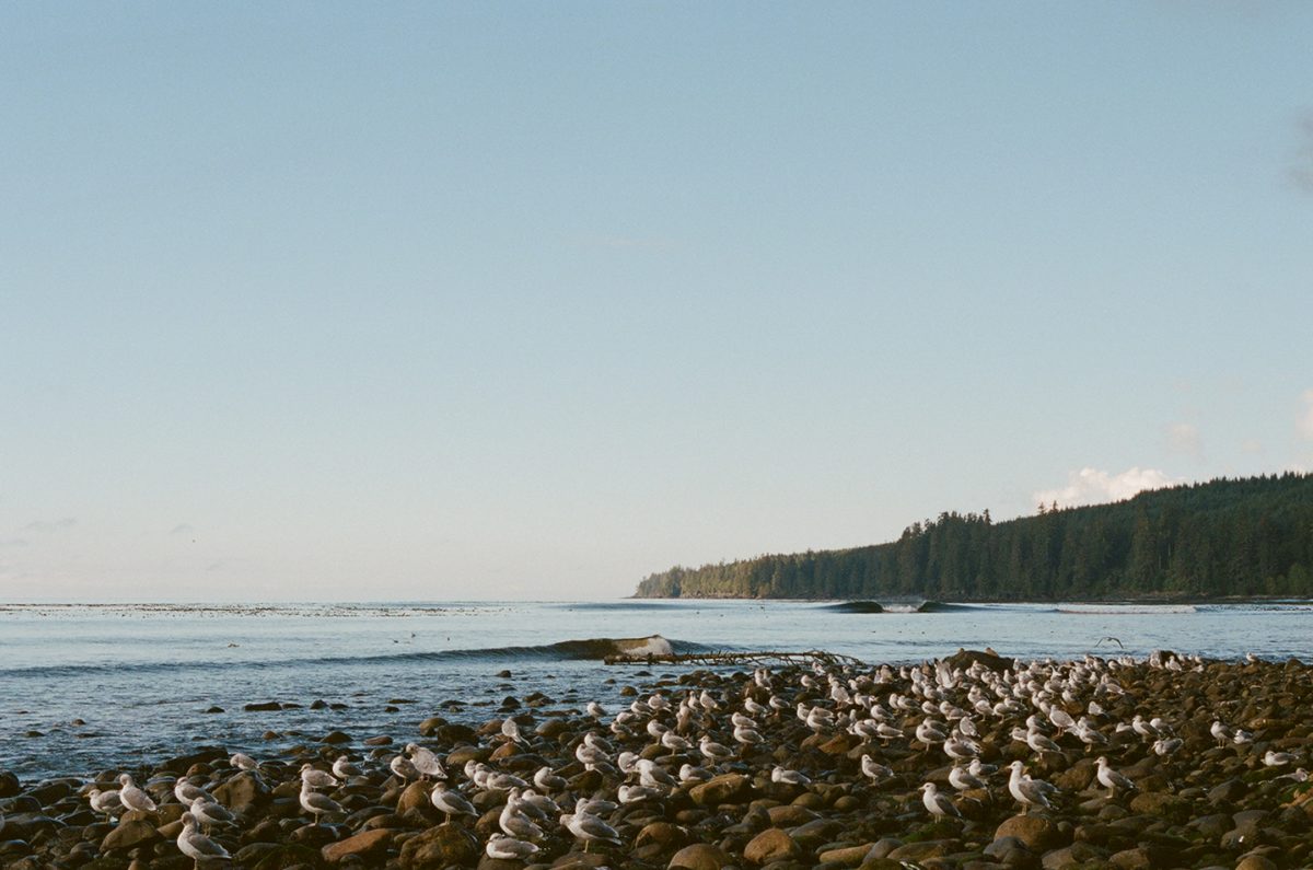 © Jarod Luebbert