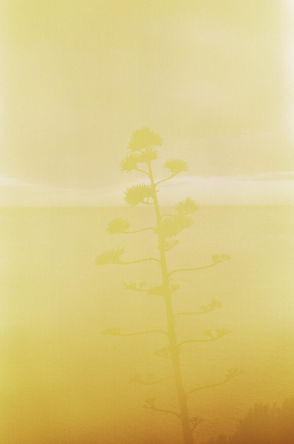 © Quentin Simon
