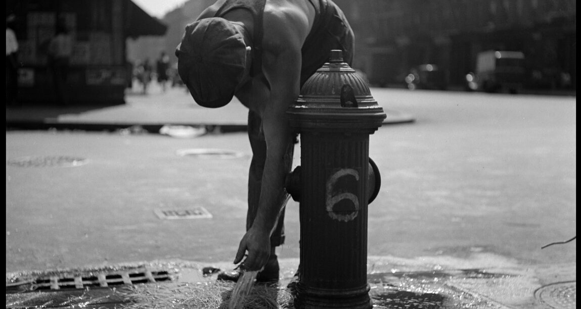 © Fred Stein