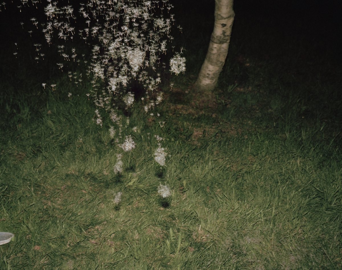 Extrait de "A spectacle of nothing strange", © Ahndraya Parlato