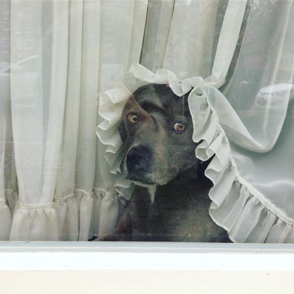 © Lieneke Lokhoff / Instagram 