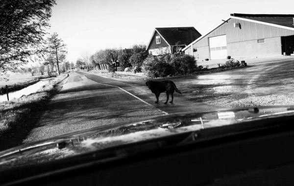 © Mascha Joustra