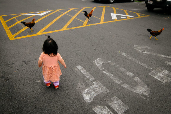 Image extraite de la série "The World the Children Made" © Shin Noguchi