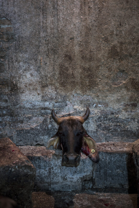 From "Zurumbático" © Luis Cobelo