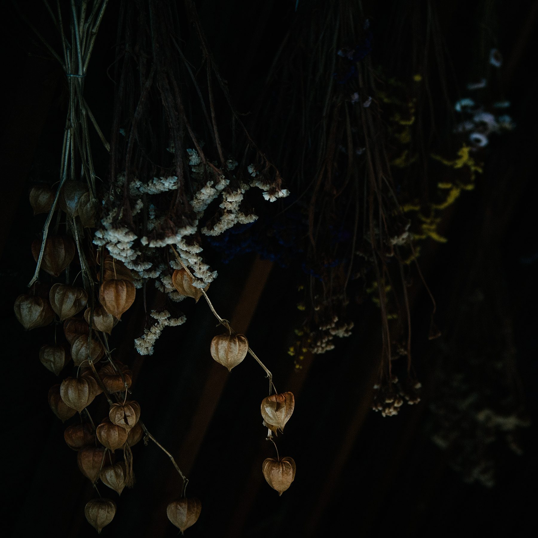 From L'amour lui-même doit s'endormir © Lynda Laird