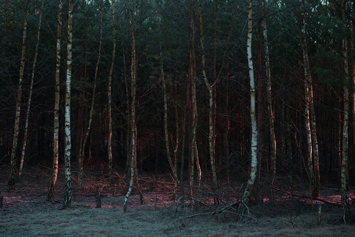 © Jagoda Wiśniewska
