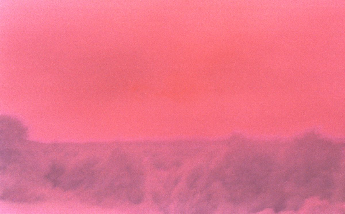 © Jagoda Wiśniewska 