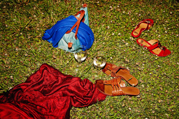 In the Grass © Justin Tsulucas