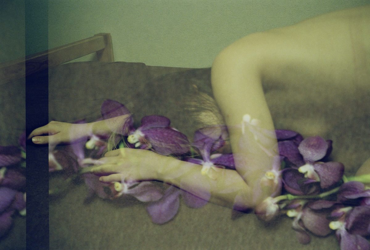 From "Kasou" © Noriko Yabu