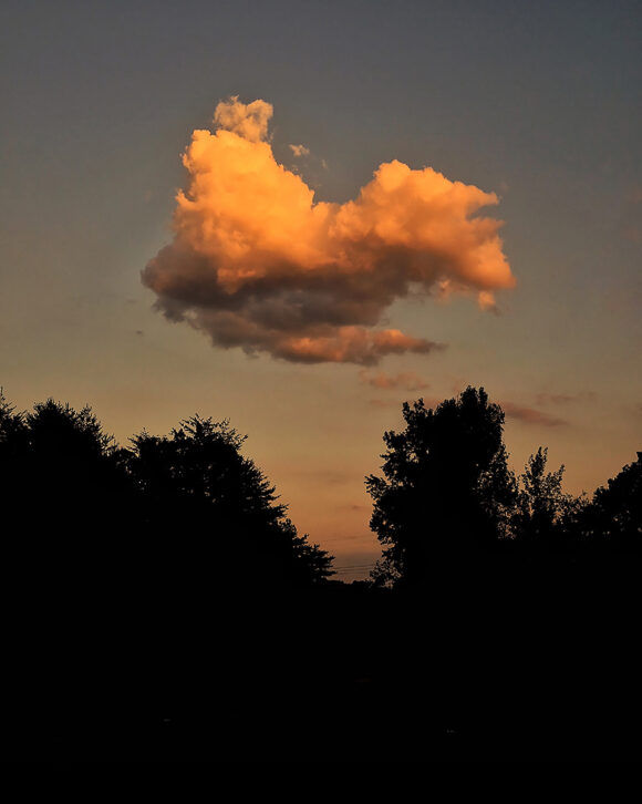 © Devin Lunsford