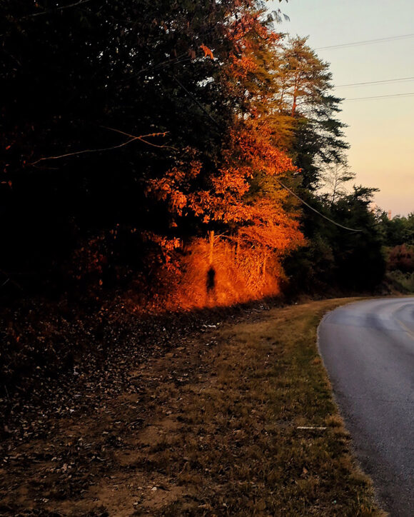 © Devin Lunsford