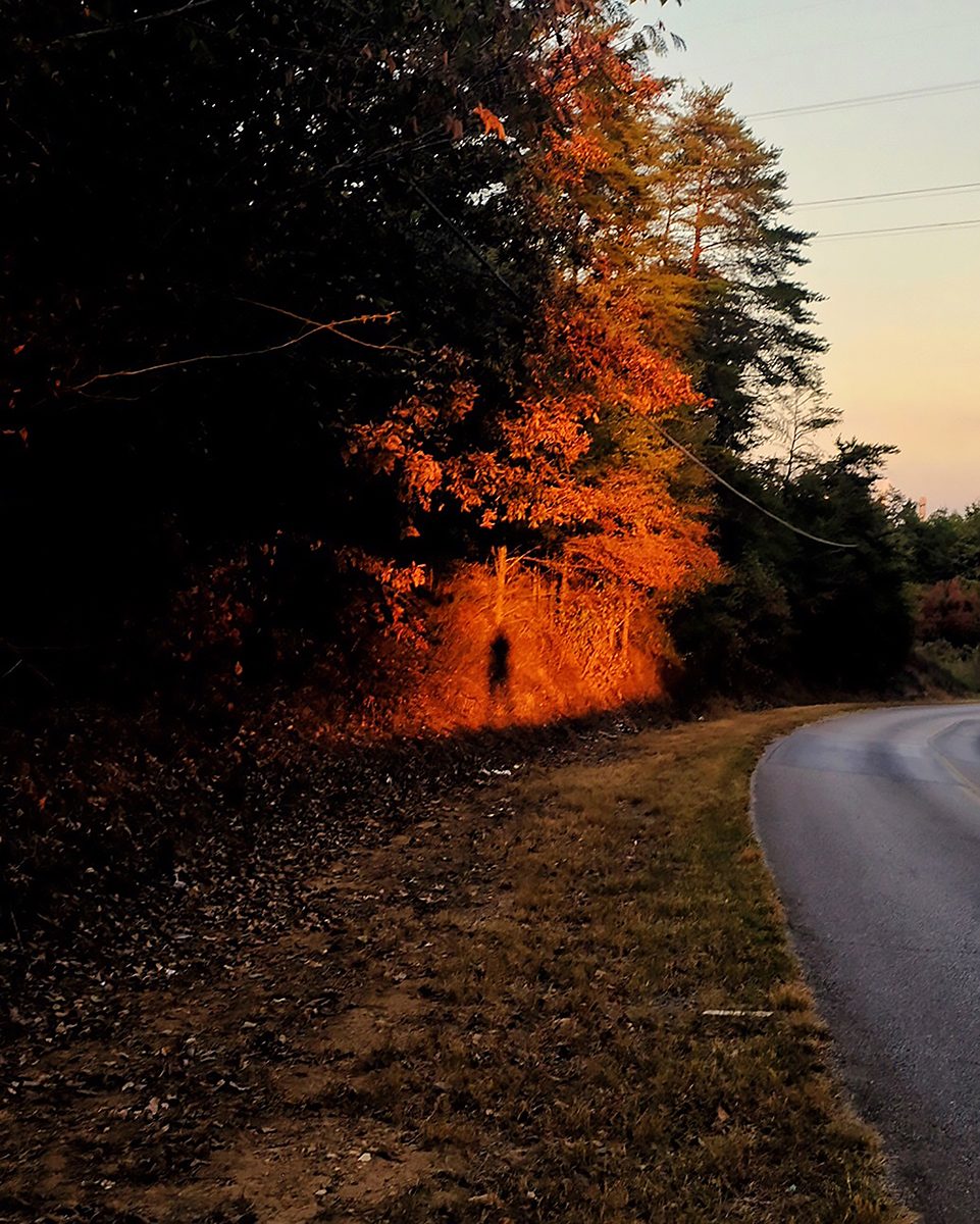 © Devin Lunsford